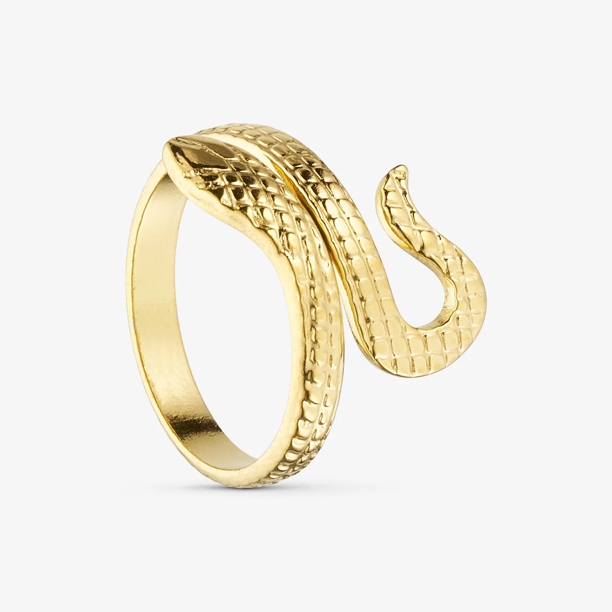 Gold Ring Snake