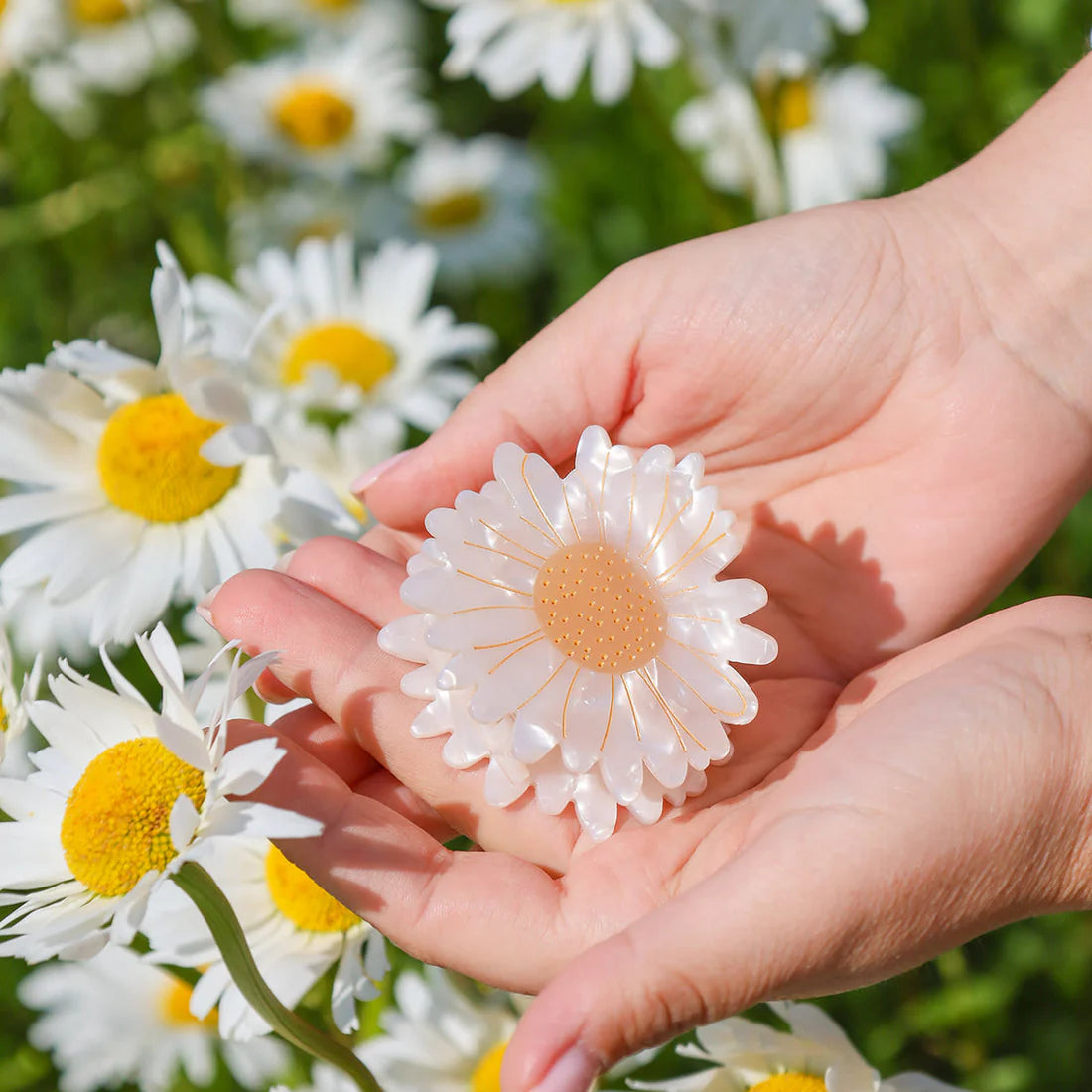 Hairclip Marguerit
